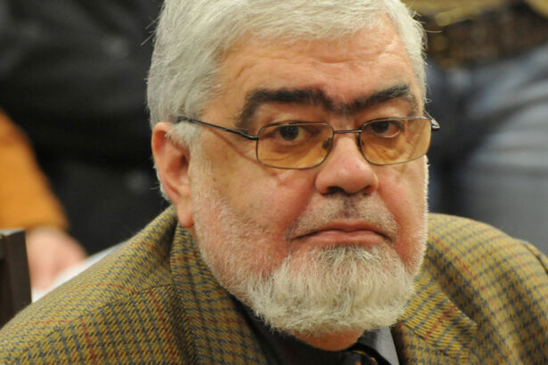 andrei plesu despre ilie bolojan si sorin grindeanu unul e o premiera post decembritsa celalalt lucreaza cu o topaiala tactica 6903c2b1ca693