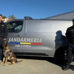 autospeciala noua pentru transportul cainilor de serviciu primita de jandarmeria constanta 69022752cea03