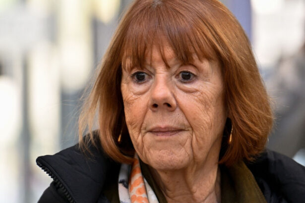 cazul care a socat franta gisele pelicot isi confrunta unul dintre agresori in instanta e o crima sa violezi o femeie inconstienta 68e6a8522540e