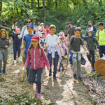 ce activitati sunt propuse pentru elevi in programele scoala altfel si saptamana verde in ce perioada se vor desfasura 68e8be9443ff1