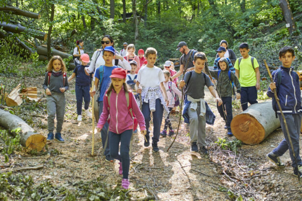 ce activitati sunt propuse pentru elevi in programele scoala altfel si saptamana verde in ce perioada se vor desfasura 68e8be9443ff1