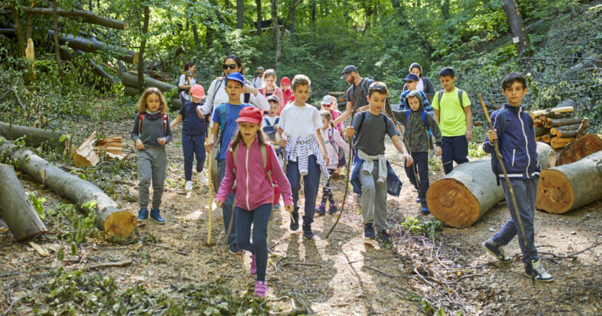 ce activitati sunt propuse pentru elevi in programele scoala altfel si saptamana verde in ce perioada se vor desfasura 68e8be9443ff1
