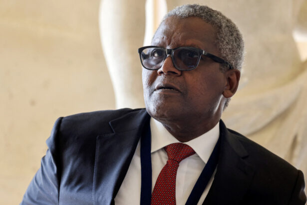 cel mai bogat om din africa vrea sa detina cea mai mare rafinarie din lume 68fe58b657782