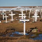 cercetatorii au trezit viata antica inghetata timp de 40 000 de ani din alaska 68ee616a62e3e