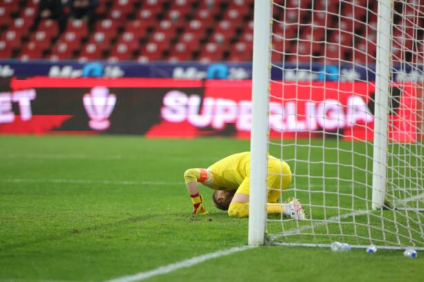 clasament se ingroasa gluma pentru metaloglobus cum arata superliga dupa 12 runde 68e3f31f6a801