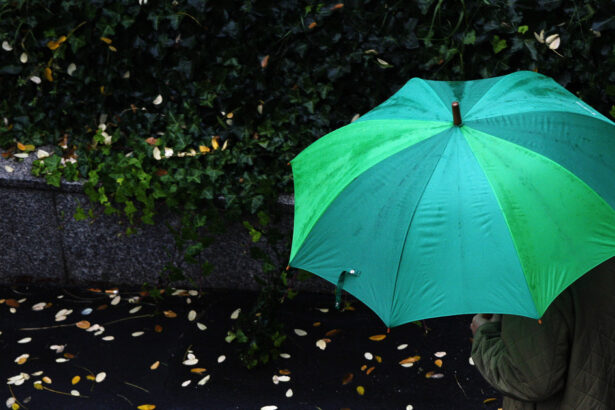 cum va fi vremea pana spre finalul lunii noiembrie prognoza meteo pentru urmatoarele patru saptamani 68fb17a423ef5