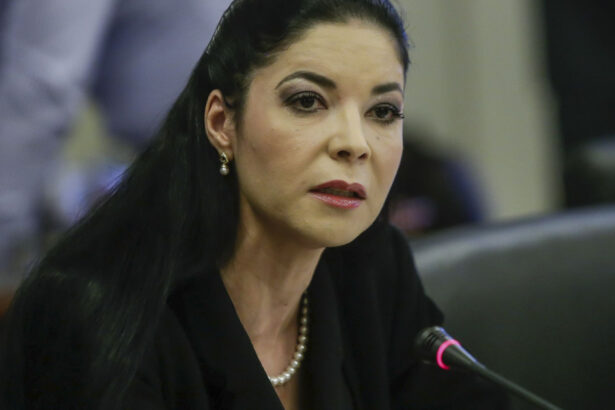 documentul care o acuza pe ana birchall ca ar fi vrut sa colaboreze cu cia a fost retras o tentativa de asasinat politic 68eb29138065c