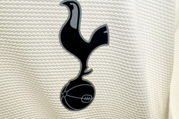 dragusin nu va avea un nou patron investitorii americani au fost refuzati de catre joe lewis 68e5056255f55