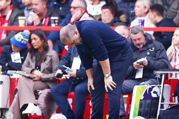 dupa ce l a demis pe fostul antrenor al lui dragusin dupa doar 39 de zile nottingham forest i a gasit inlocuitor 68f62c7e99a9a
