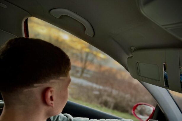 el este tanarul care a decedat dupa ce s a rasturnat cu masina intre sacele si corbu 68de663fd1ca0