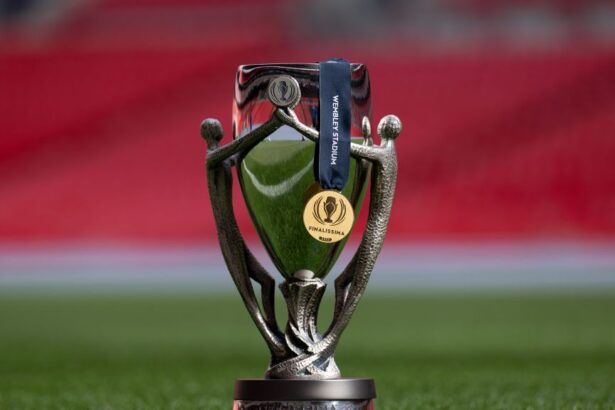 finalissima 2026 spania argentina se poate juca in qatar 690217f22e81c