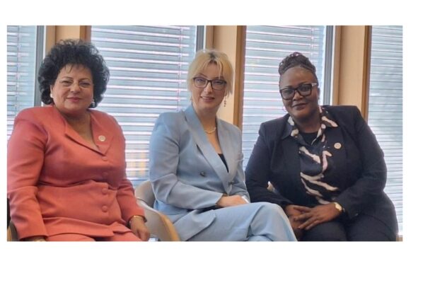 foto mariana gaju primarul comunei cumpana a reprezentat romania la forumul primarilor onu de la geneva 68e504f09349e