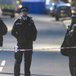 Un bărbat care își plimba cățelul a fost ucis într-un atac cu un cuțit în vestul Londrei, iar un suspect a fost arestat. 2 foto un barbat care isi plimba catelul a fost ucis intr un atac cu un cutit in vestul londrei un suspect a fost arestat 6901d22f44e5a