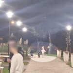 foto vandalism in parcul poarta 6 din constanta plante decorative rupte si furate la scurt timp dupa plantare 68efac8ba78ff