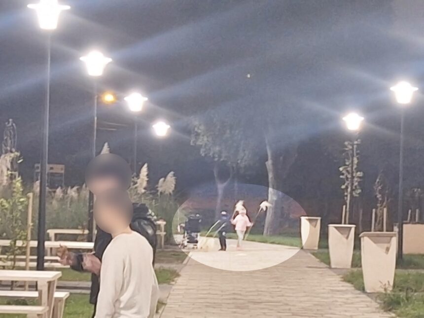 foto vandalism in parcul poarta 6 din constanta plante decorative rupte si furate la scurt timp dupa plantare 68efac8ba78ff