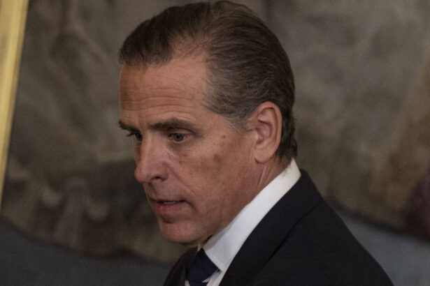 hunter biden implicat intr o tranzactie pentru vanzarea terenului din jurul ambasadei sua in romania 68e625d89dcbc