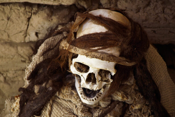 intestinul unei mumii mexicane a dezvaluit o lume microbiana antica uimitoare 68ebbe592fb0a