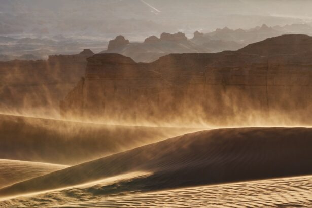 lectia uitata a filosofului john odonohue despre puterea de vindecare a lucrurilor frumoase cum ne poate salva frumusetea 68f247e063674