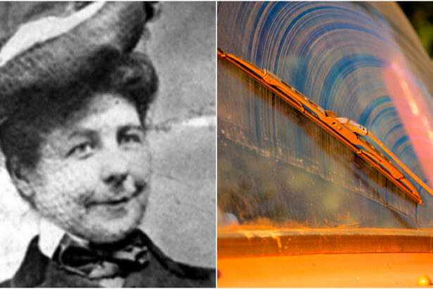 mary anderson femeia care a inventat stergatoarele de parbriz 68fe1e45dabfa