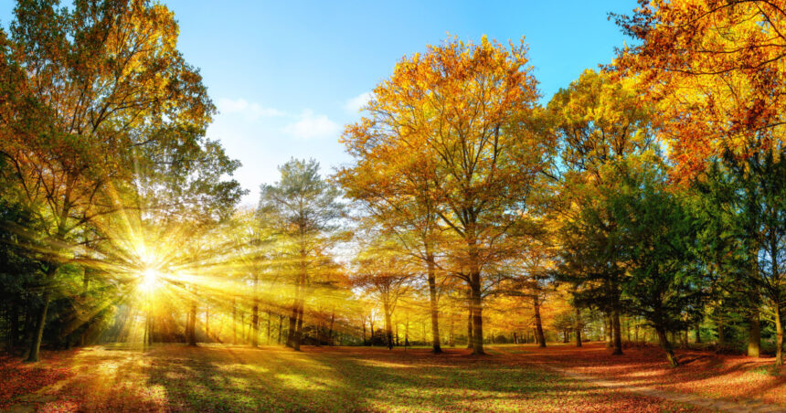 Meteorologii prognozează temperaturi mai ridicate și precipitații reduse în noiembrie. Previziunile pentru următoarele patru săptămâni 1 meteorologii anunta vreme mai calda si ploi mai putine in noiembrie estimarile pentru urmatoarele patru saptamani 690072a900de2