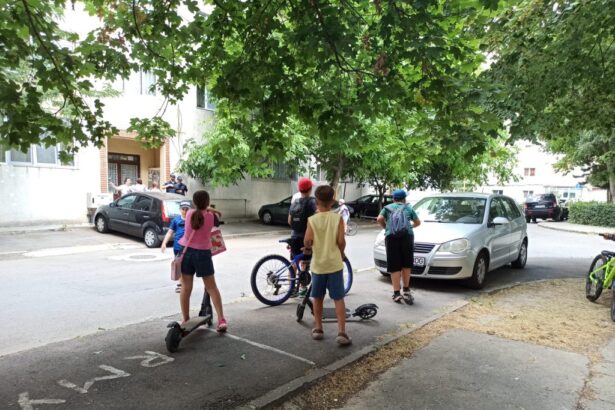 minori terorizati de calicu tanarul recidivist care cerea taxa de joaca condamnare definitiva 68f826fb436fe