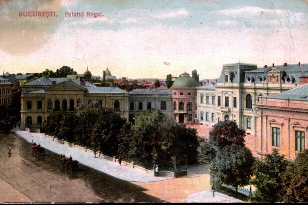 o comedie adevarata cum a fost luat palatul regal cu asalt de opozitia unita 68f69f09f0c4a