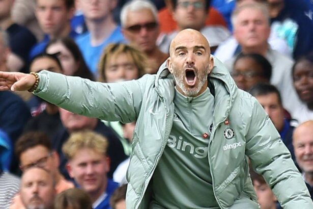 oficial e jale mare la chelsea anuntul facut de enzo maresca m am inselat 68f2310104e86