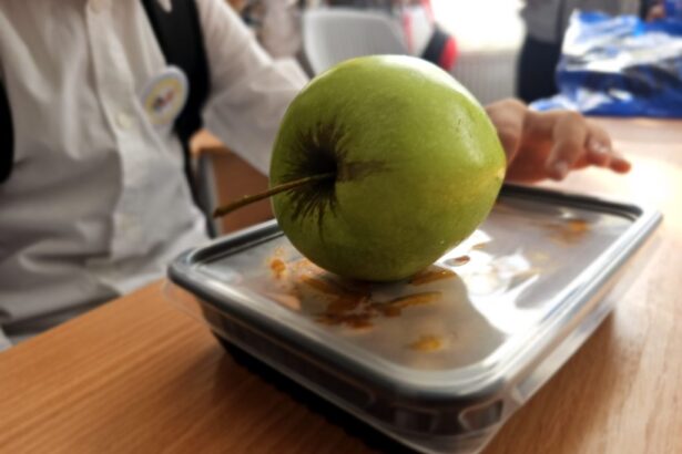 peste 17 000 de elevi din judetul constanta beneficiaza de masa calda 68fca51653e86