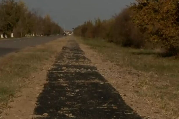 pista pentru biciclete turnata peste iarba lucrarile de mantuiala au starnit nemultumirea localnicilor asta intr un an se duce 68f7d27d88e1d