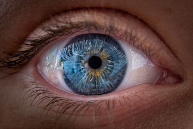 premiera medicala uimitoare un cip revolutionar poate reda vederea oamenilor 68fe1e5a49685