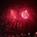 Primăria Constanța renunță la artificii de Revelion pentru protecția animalelor 2 primaria constanta renunta la artificiile din noaptea revelion pentru protejarea animalelor 6901e4d09a56c