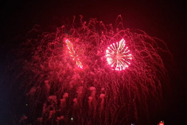 primaria constanta renunta la artificiile din noaptea revelion pentru protejarea animalelor 6901e4d09a56c