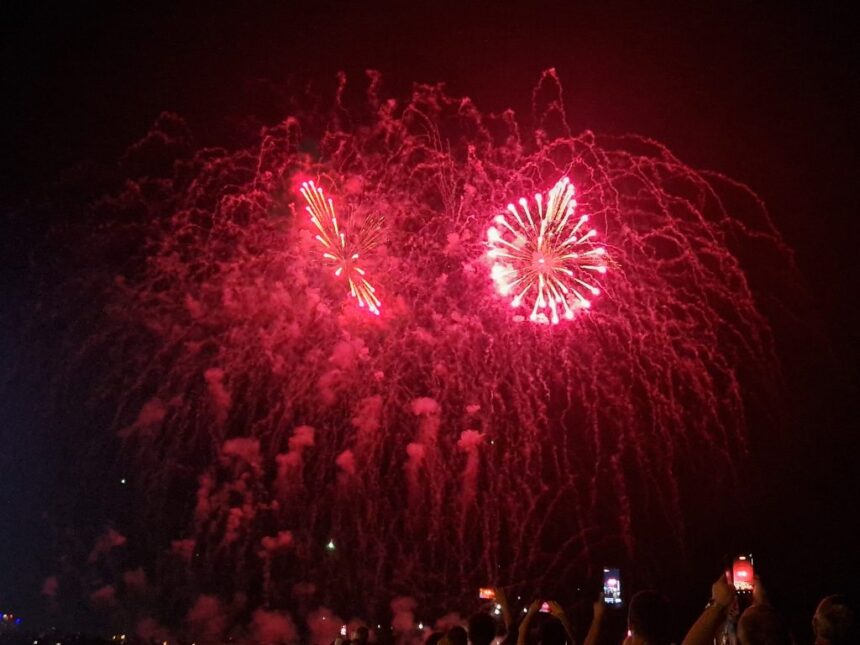 Primăria Constanța renunță la artificii de Revelion pentru protecția animalelor 1 primaria constanta renunta la artificiile din noaptea revelion pentru protejarea animalelor 6901e4d09a56c