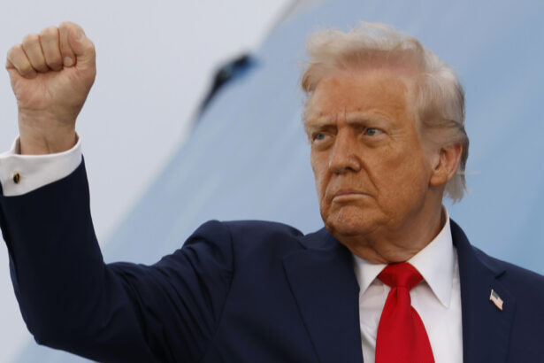 proiectul grandios planuit de trump la washington presedintele sua inspirat de imparatul napoleon bonaparte 68e96a8db6634