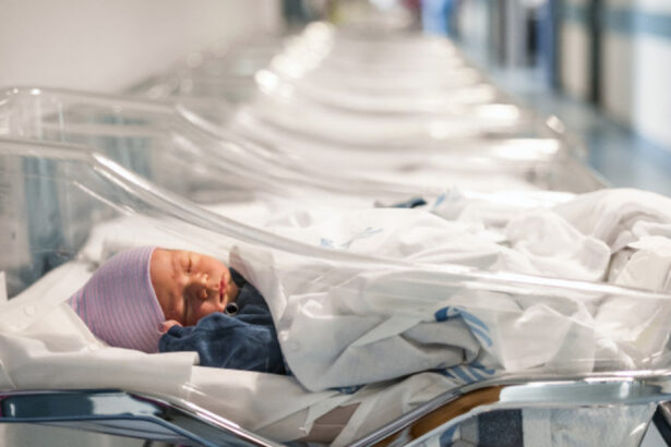 romanii contribuie cel mai mult la natalitatea italiei cati copii aduc pe lume concetatenii nostri in peninsula 68f8580fbbc71