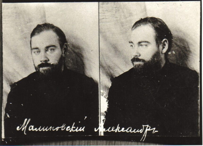 savantul sovietic care a testat nemurirea alexander bogdanov un altfel de faust 68e5664b19f31