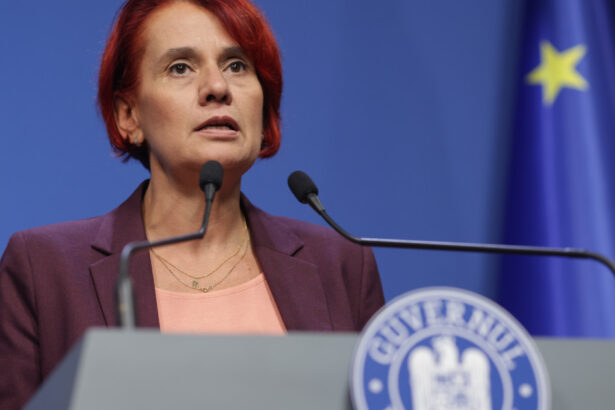 se modifica legea ani dogioiu proiectul introduce restrictii pre si post angajare pentru demnitari si personal contractual 68e7af98c2797