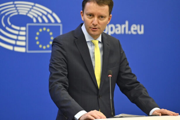 siegfried muresan la protestul fermierilor din fata parlamentului european vom apara fondurile pentru agricultura in fata taierilor 68f7774709635