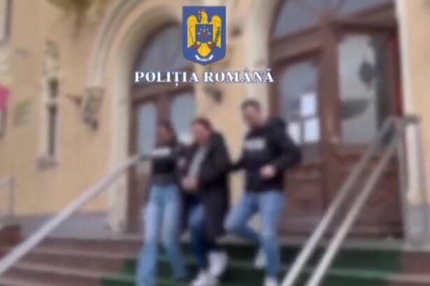 tepara soferita cu numere contrafacute si victima a unei batai viata plina de aventuri a femeii care a vandut polite rca false in constanta 68e8346ba7dcf