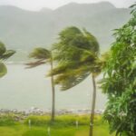 test de cultura generala de ce uraganele nu pot trece de linia ecuatorului 68fa3f0b7e38b