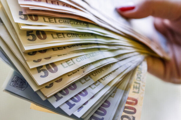 tichetele de masa vor fi majorate dar cresterea salariului minim se amana cand va lua guvernul o decizie 6901fc533129d