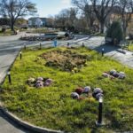 un esec pentru modernizarea turismului local din eforie licitatiile pentru reabilitarea parcurilor si teatrelor de vara din eforie nord si eforie sud anulate 68e9d9f0664d3
