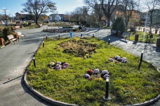 un esec pentru modernizarea turismului local din eforie licitatiile pentru reabilitarea parcurilor si teatrelor de vara din eforie nord si eforie sud anulate 68e9d9f0664d3