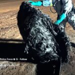 un obiect misterios de origine necunoscuta a fost gasit fumegand in desertul australian ce se stie pana acum 68f88af80d87c