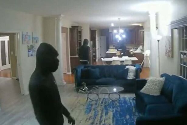 unul dintre membrii gastii lui superman din valu lui traian cautat si de autoritatile din germania implicat in seria de mega spargeri din judetul constanta 68fff182d5a94