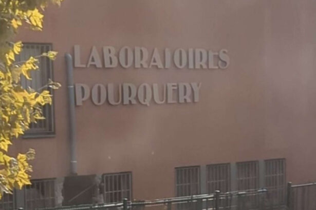 video atac spectaculos la lyon indivizi inarmati au folosit explozibili pentru a jefui o rafinarie de metale pretioase 6 suspecti arestati 690463941974e