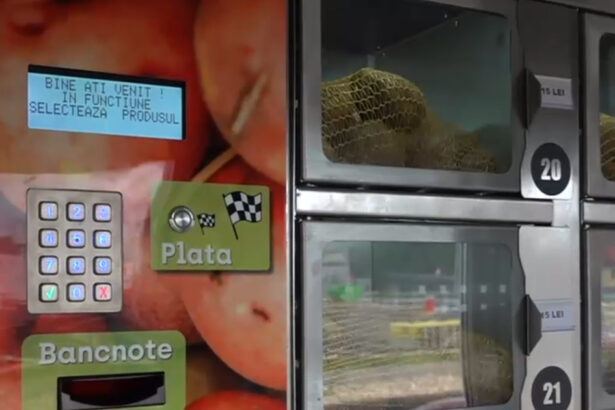 video automate pentru cartofi lapte si oua fermierii din tara isi pot vinde produsele la preturi mai mici non stop 68ef4ec263010