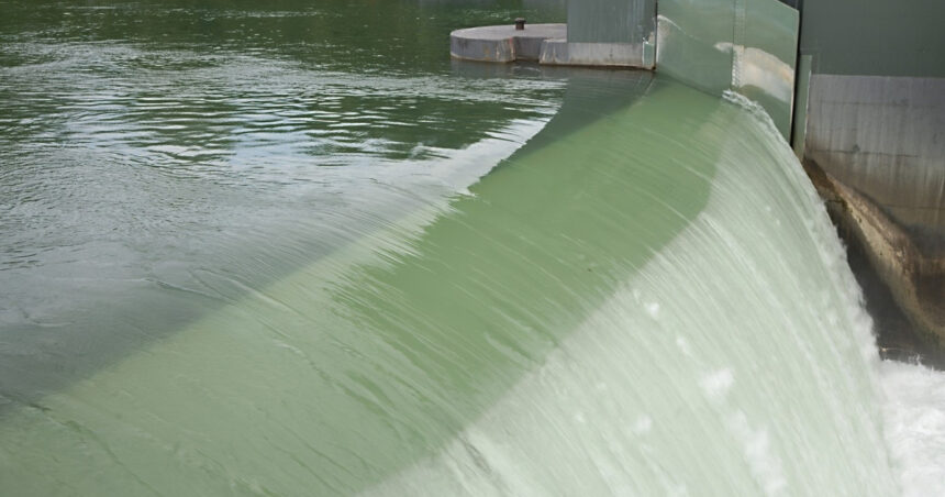 video bogdan ivan avem blocaje la proiectele de hidrocentrale din cauza gandacilor si pestilor sunt aberatii voi merge in csat 68de28ea6ddc4