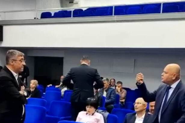 video cearta intre doi lideri psd pnl din braila zat sa i spui lui ma ta mai porcule ce eu sunt pisica mi a spus sa mi iau pastilele 68dd08b2e924e