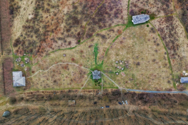 video codrii vlasiei protejati prea tarziu padurea uriasa a ajuns un petic de verdeata zona va fi parte din centura verde a capitalei 6900b56eed20f